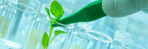 Foto de Mas afinal, o que é biotecnologia?
