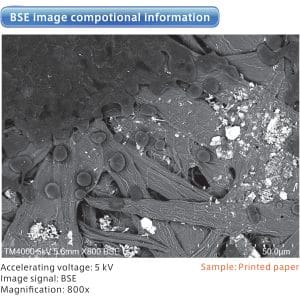 BSE image observation