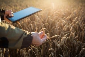 controle de qualidade de alimentos