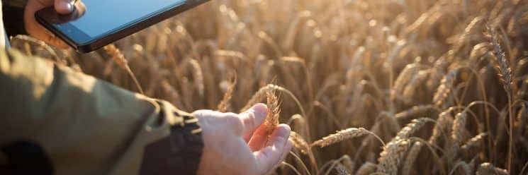 controle de qualidade de alimentos