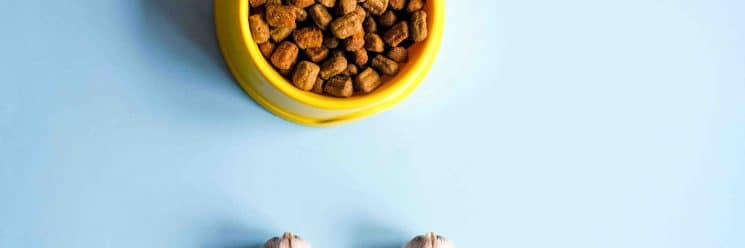 Como garantir o controle de qualidade em ração animal