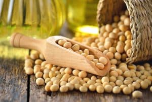 análise de óleos em sementes