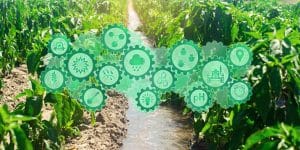 responsabilidade ambiental e suas análises
