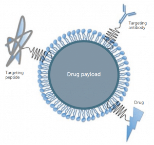 Superfície modificada de nanopartícula para direcionamento e entrega.