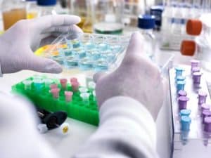 Biotecnologia: conceito e principais tipos